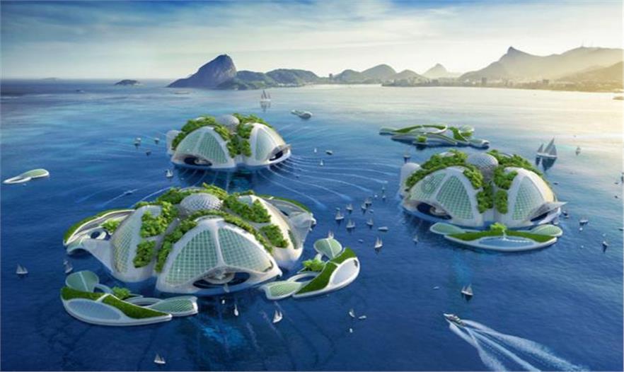 四九寒天济南沉沙池变冰湖,天鹅“插空”栖息觅食 | AI播泉城